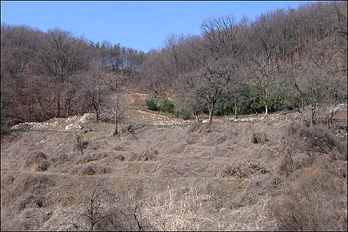 보문사지 전경. 